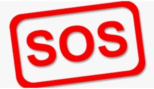 Жазғы демалыс кезіндегі балалардың өмір қауіпсіздігі басты назарда болу керек!