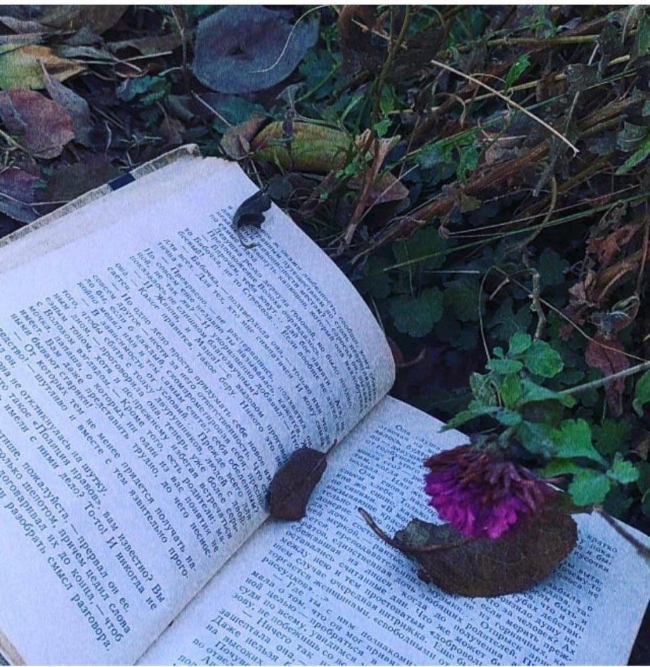 Жеңімпаздардың фото суреттері 🍁🍁🍁 «Бас жүлде» Турлыбекова Аяжан «1 орын» Кокухина Анастасия «1 орын» Құлжанысова Асия «2 орын» Бақтыбай Разия «2 орын» Строчкова Элизавета «3 орын» Нұрболқызы Арайлым «3 орын» Сауранбаева Рамилья