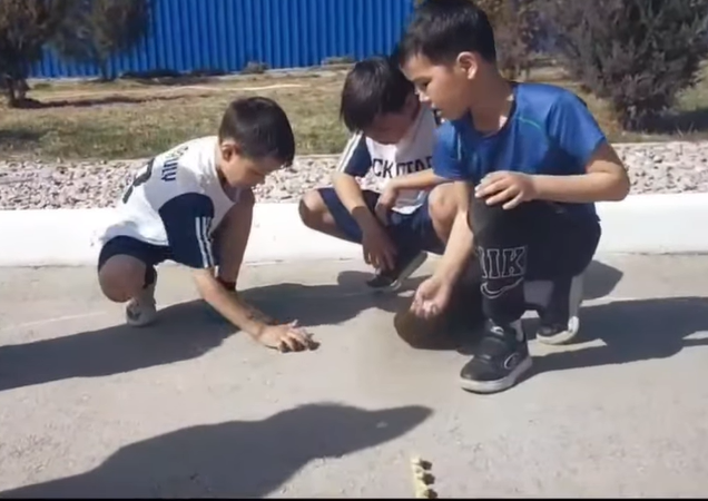 20 наурыз – Ұлттық спорт күні 20 наурыз – ұлттық спорт пен дәстүрлі ойындарды дәріптейтін маңызды күн.