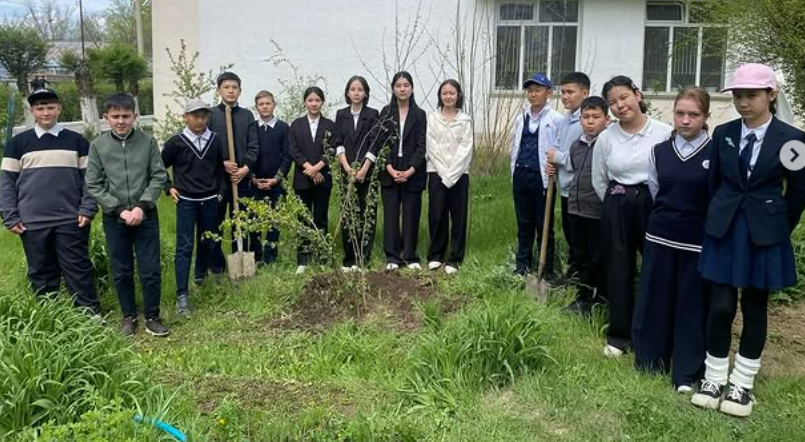 «Қамқор» жобасы аясында «Менің ағашым менімен бірге өседі» тақырыбында 7-8 сынып оқушыларының ағаш егуі экочелленджі.